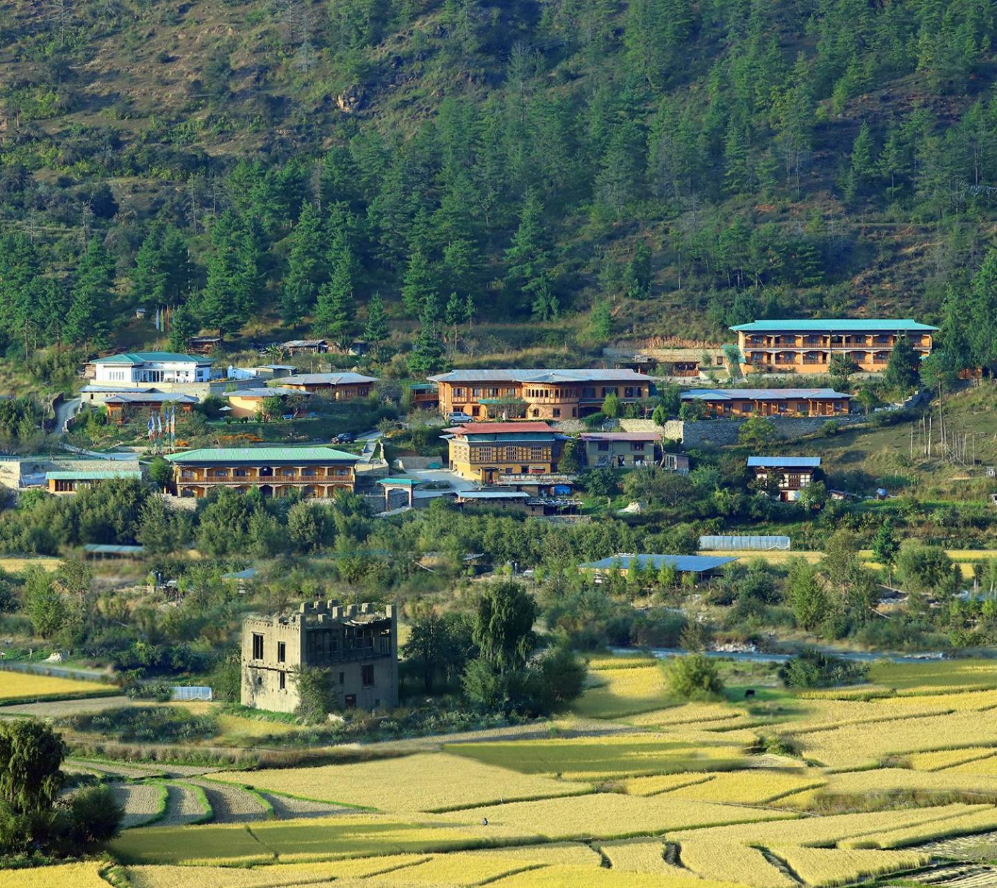 Rema Resort Paro Dış mekan fotoğraf